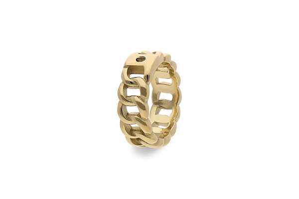 Liberi Gold Interchangeable Ring