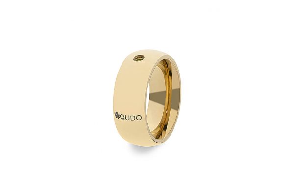 Ring Big Gold Interchangeable Ring