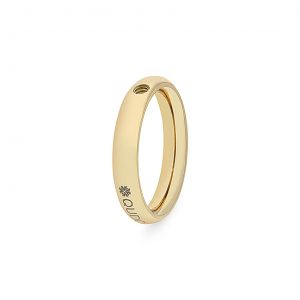 Ring Small Gold Interchangeable Ring