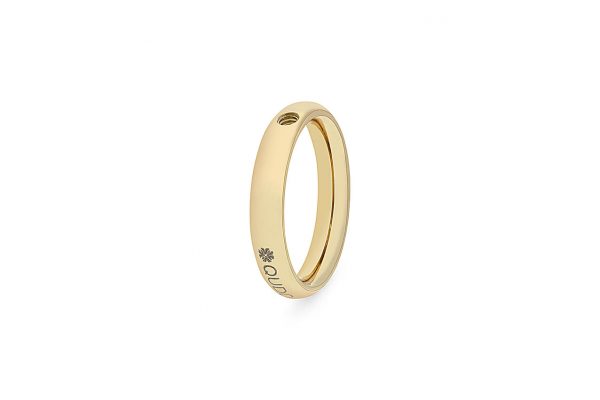 Ring Small Gold Interchangeable Ring