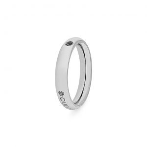 Ring Small Silver Interchangeable Ring