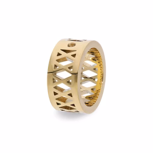 Ring Rogena Interchangeable Ring