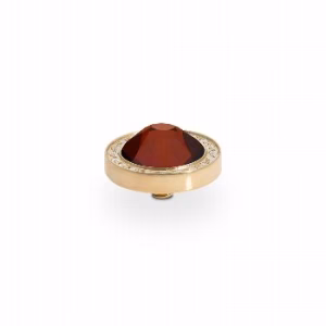 Canino de luxe 10,5 mm gold , smoked topaz