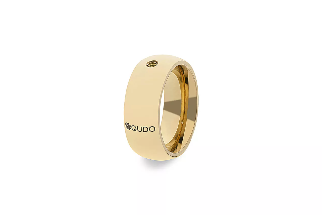 Ring Big Gold Interchangeable Ring